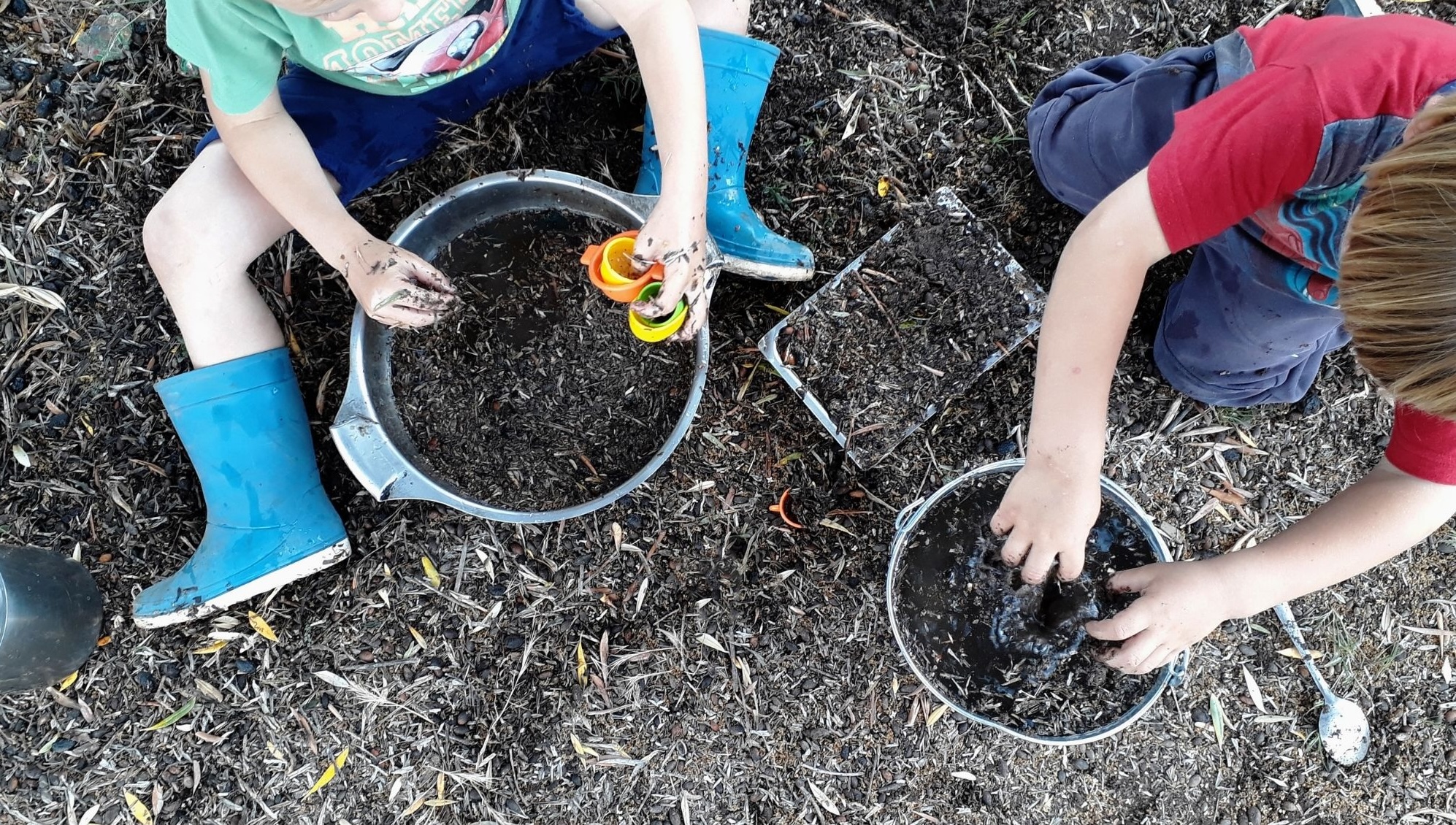 Children playing outdoors in nature